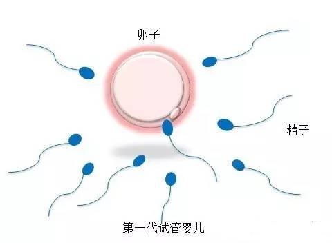 刘阳旭主任